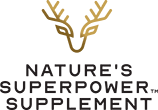 logo-NSS